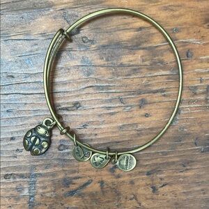 Alex and Ani Ladybug Bangle Charm Bracelet